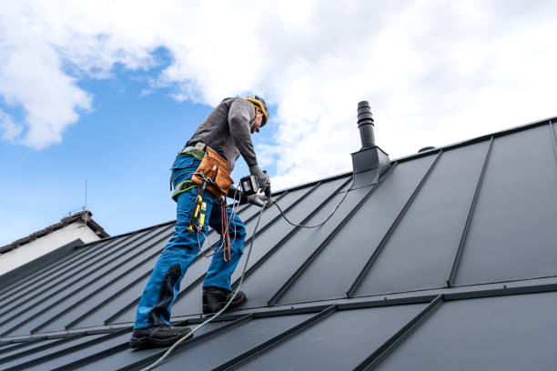 Best Solar Panel Roofing Installation  in Rohnert Park, CA